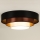 Duolla - LED Stropna svetilka LUNETA LED/26W/230V pr. 60 cm 4000K črna/baker/bela