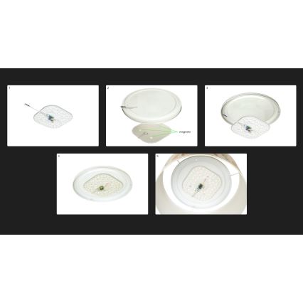 Duolla - LED Stropna svetilka LUNETA LED/26W/230V pr. 60 cm 4000K rjava/zlata/krem barva