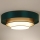 Duolla - LED Stropna svetilka LUNETA LED/26W/230V pr. 60 cm 4000K zelena/zlata/bela