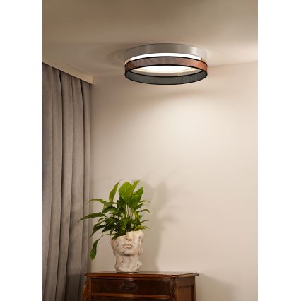Duolla - LED Stropna svetilka ROLLER DUO SHINY LED/24W/230V pr. 45 cm bela/baker