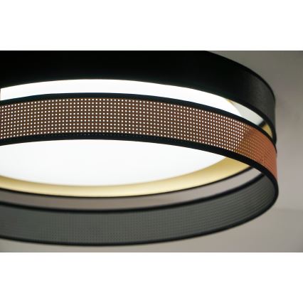 Duolla - LED Stropna svetilka ROLLER DUO SHINY LED/24W/230V pr. 45 cm črna/baker