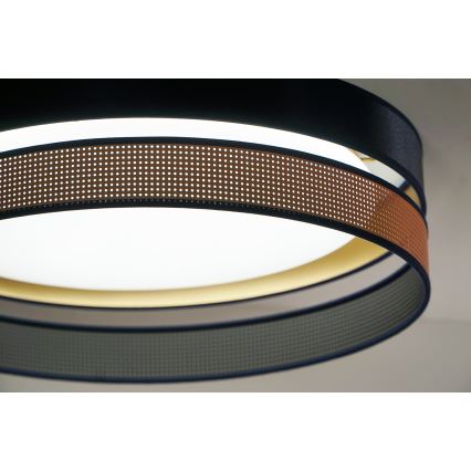 Duolla - LED Stropna svetilka ROLLER DUO SHINY LED/24W/230V pr. 45 cm modra/baker