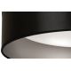 Duolla - LED Stropna svetilka ROLLER LED/24W/230V črna/srebrna