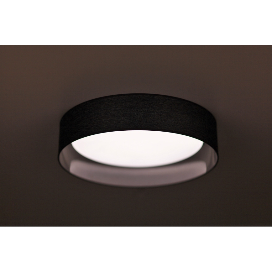 Duolla - LED Stropna svetilka ROLLER LED/24W/230V pr. 45 cm antracit