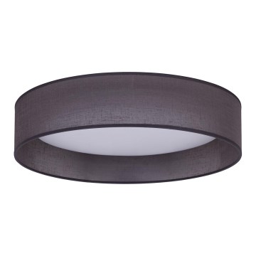Duolla - LED Stropna svetilka ROLLER LED/24W/230V pr. 45 cm antracit