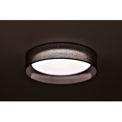 Duolla - LED Stropna svetilka ROLLER LED/24W/230V pr. 45 cm antracit