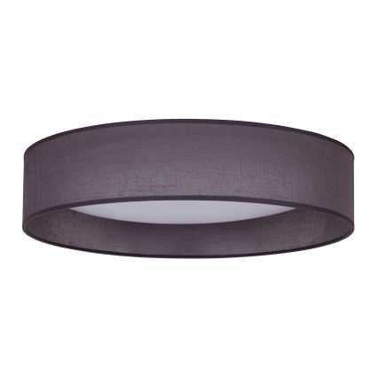 Duolla - LED Stropna svetilka ROLLER LED/24W/230V pr. 45 cm antracit