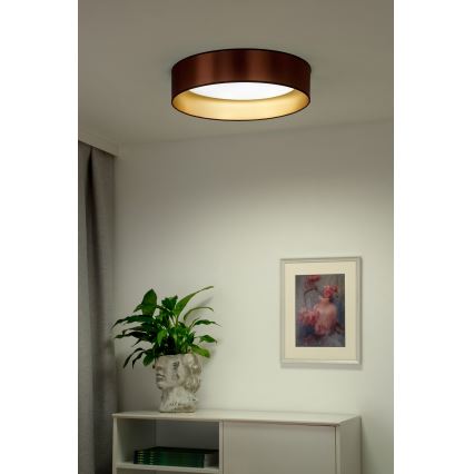Duolla - LED Stropna svetilka ROLLER LED/24W/230V pr. 45 cm baker/zlata