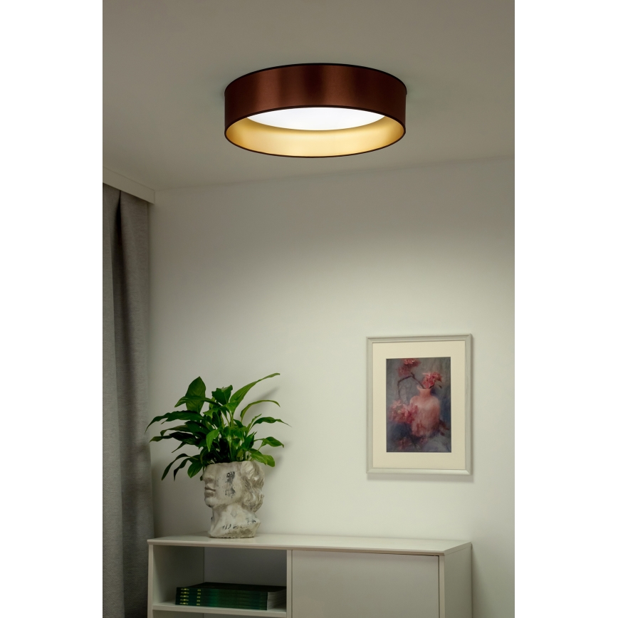 Duolla - LED Stropna svetilka ROLLER LED/24W/230V pr. 45 cm baker/zlata