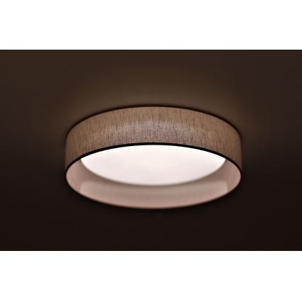 Duolla - LED Stropna svetilka ROLLER LED/24W/230V pr. 45 cm bež