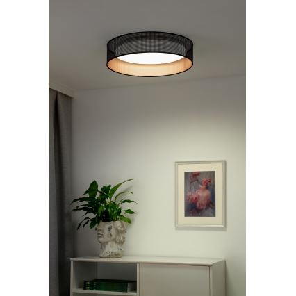 Duolla - LED Stropna svetilka ROLLER LED/24W/230V pr. 45 cm črna/baker