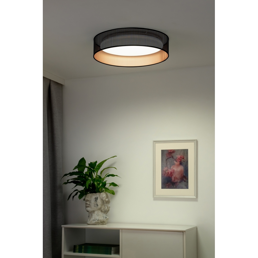 Duolla - LED Stropna svetilka ROLLER LED/24W/230V pr. 45 cm črna/baker