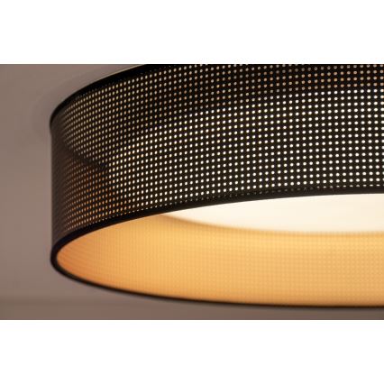 Duolla - LED Stropna svetilka ROLLER LED/24W/230V pr. 45 cm črna/baker