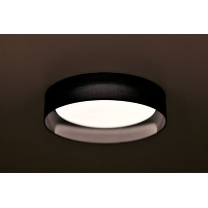 Duolla - LED Stropna svetilka ROLLER LED/24W/230V pr. 45 cm črna