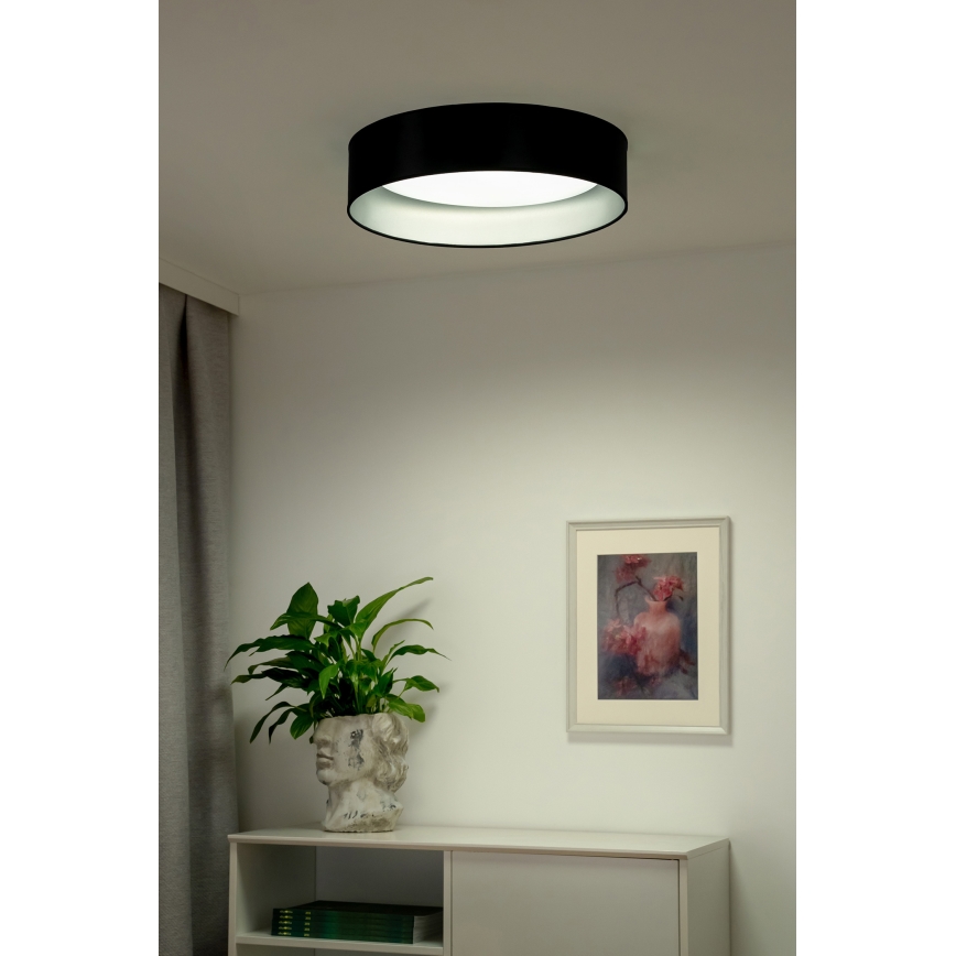 Duolla - LED Stropna svetilka ROLLER LED/24W/230V pr. 45 cm črna/srebrna