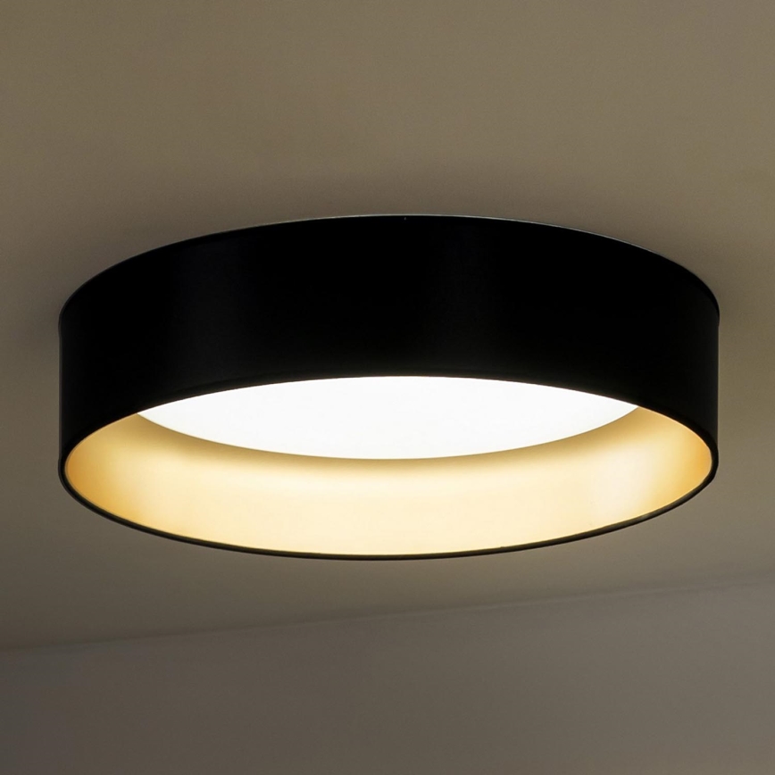 Duolla - LED Stropna svetilka ROLLER LED/24W/230V pr. 45 cm črna/zlata