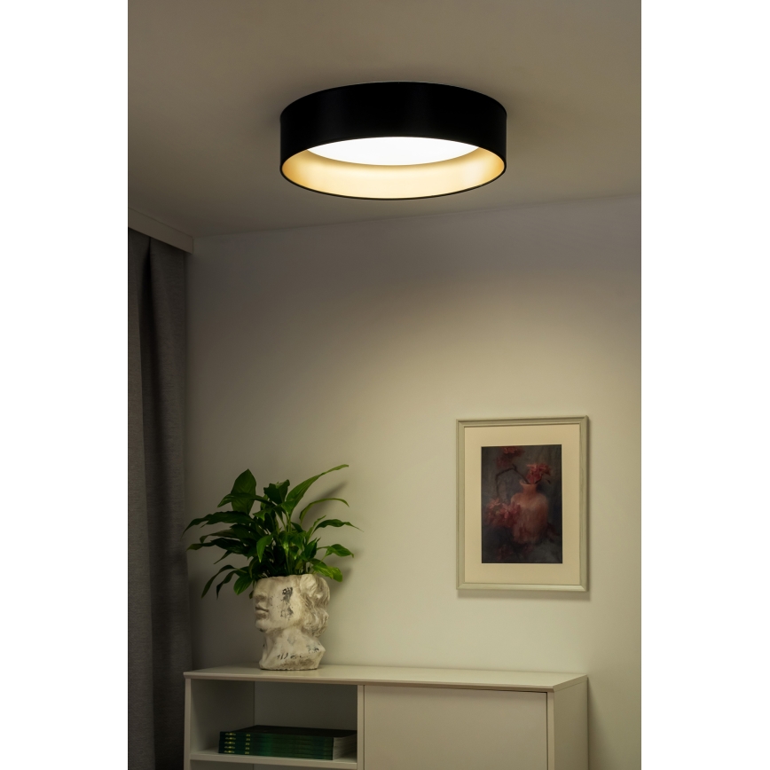 Duolla - LED Stropna svetilka ROLLER LED/24W/230V pr. 45 cm črna/zlata