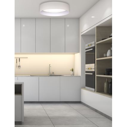 Duolla - LED Stropna svetilka ROLLER LED/24W/230V pr. 45 cm krem barva