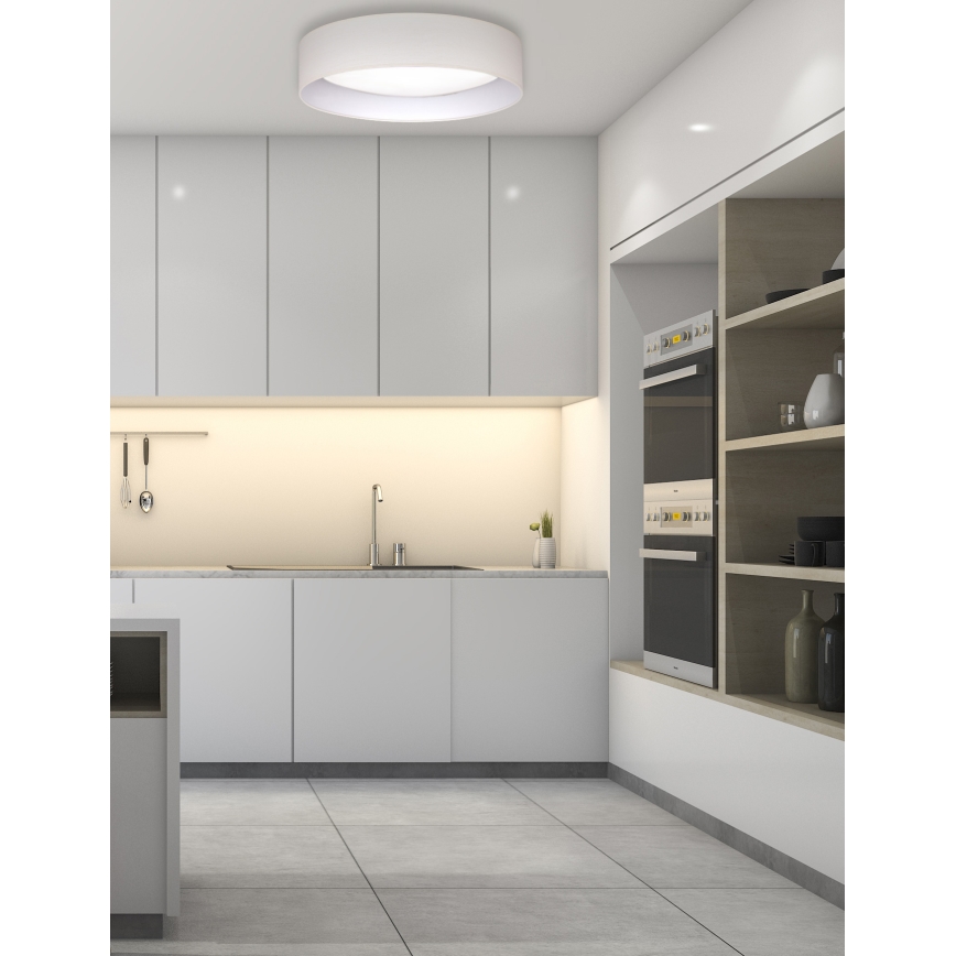 Duolla - LED Stropna svetilka ROLLER LED/24W/230V pr. 45 cm krem barva