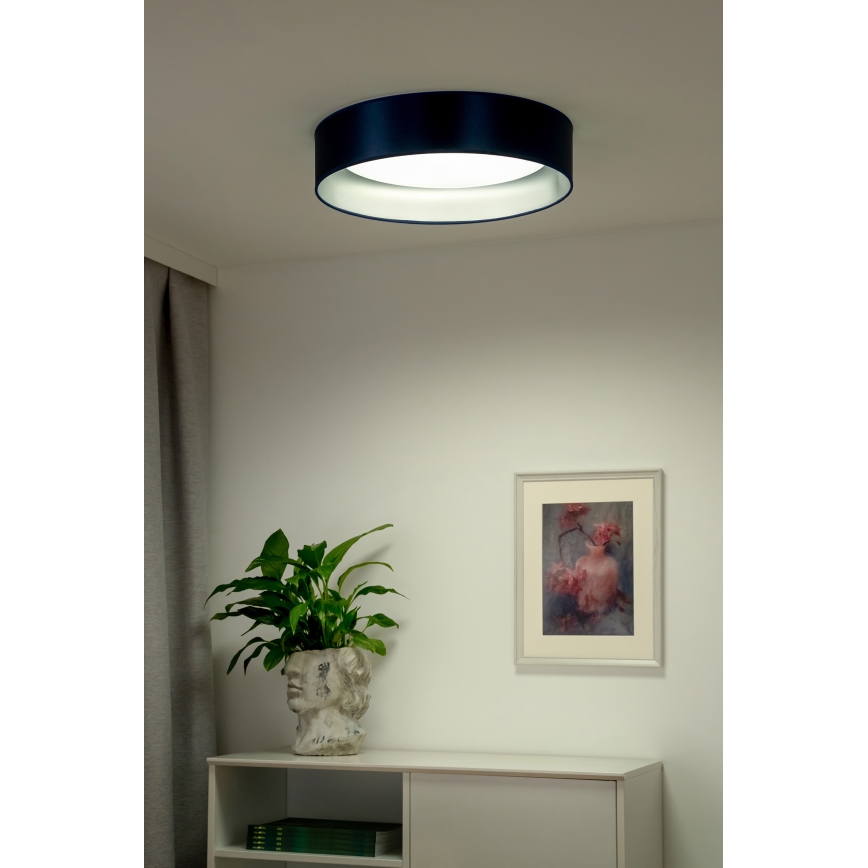 Duolla - LED Stropna svetilka ROLLER LED/24W/230V pr. 45 cm modra/srebrna