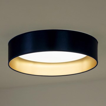 Duolla - LED Stropna svetilka ROLLER LED/24W/230V pr. 45 cm modra/zlata