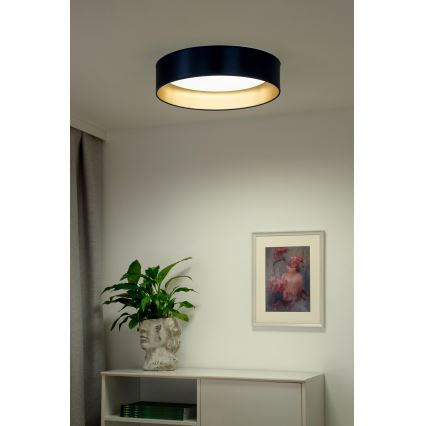 Duolla - LED Stropna svetilka ROLLER LED/24W/230V pr. 45 cm modra/zlata