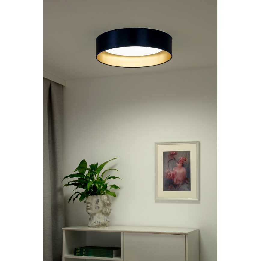 Duolla - LED Stropna svetilka ROLLER LED/24W/230V pr. 45 cm modra/zlata