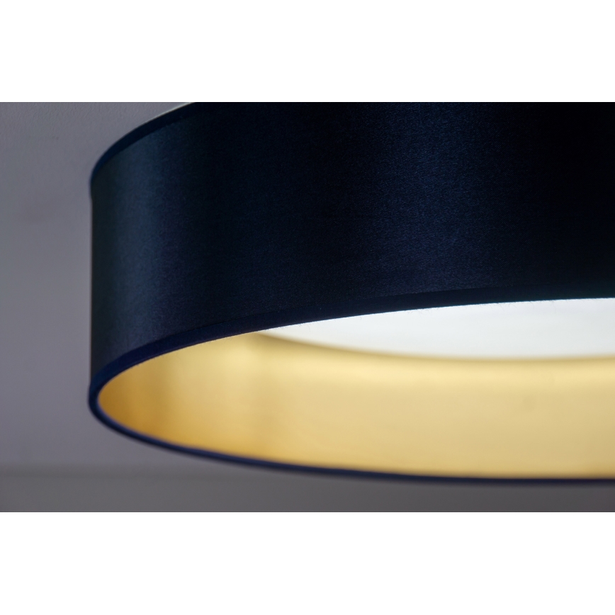 Duolla - LED Stropna svetilka ROLLER LED/24W/230V pr. 45 cm modra/zlata
