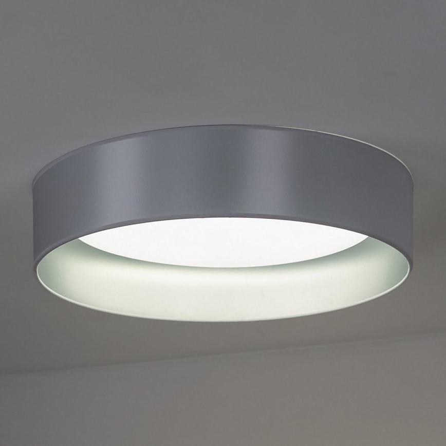 Duolla - LED Stropna svetilka ROLLER LED/24W/230V pr. 45 cm srebrna