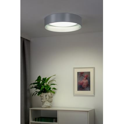 Duolla - LED Stropna svetilka ROLLER LED/24W/230V pr. 45 cm srebrna