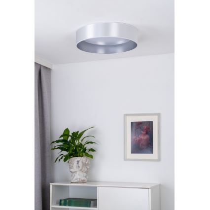 Duolla - LED Stropna svetilka ROLLER LED/24W/230V pr. 45 cm srebrna