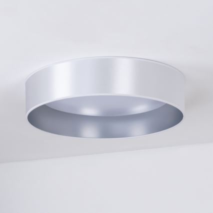 Duolla - LED Stropna svetilka ROLLER LED/24W/230V pr. 45 cm srebrna