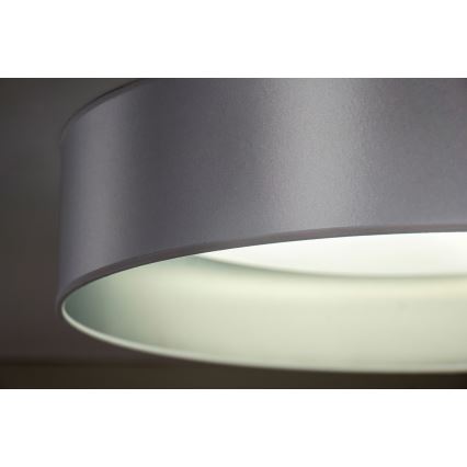 Duolla - LED Stropna svetilka ROLLER LED/24W/230V pr. 45 cm srebrna