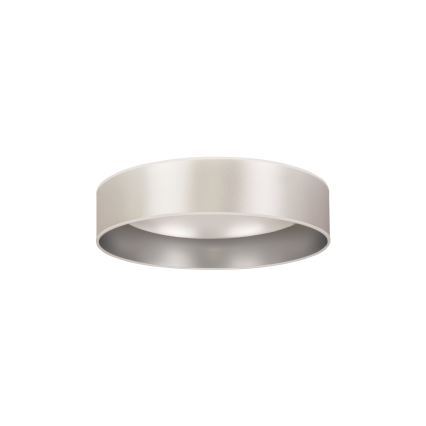 Duolla - LED Stropna svetilka ROLLER LED/24W/230V pr. 45 cm srebrna