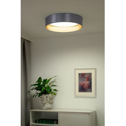 Duolla - LED Stropna svetilka ROLLER LED/24W/230V pr. 45 cm srebrna/zlata