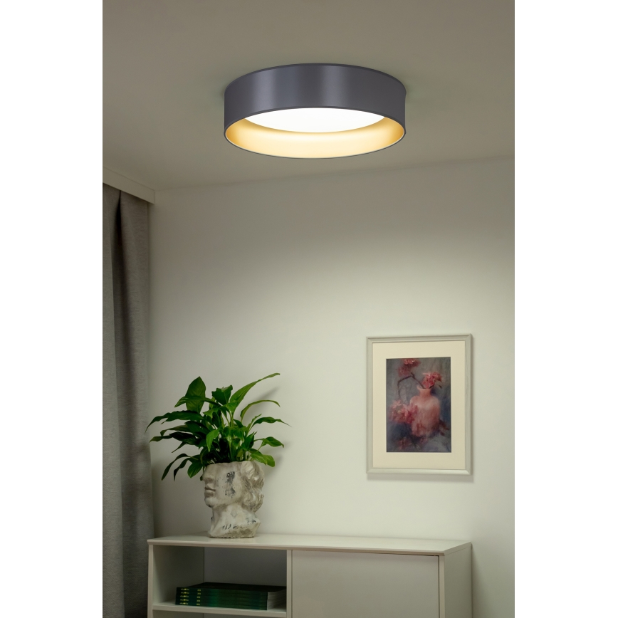 Duolla - LED Stropna svetilka ROLLER LED/24W/230V pr. 45 cm srebrna/zlata
