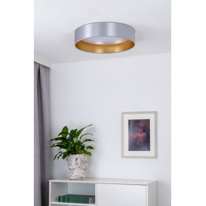 Duolla - LED Stropna svetilka ROLLER LED/24W/230V pr. 45 cm srebrna/zlata