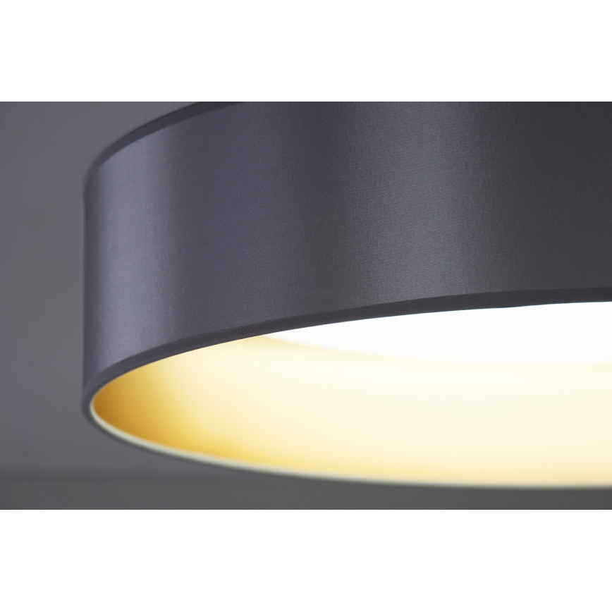 Duolla - LED Stropna svetilka ROLLER LED/24W/230V pr. 45 cm srebrna/zlata