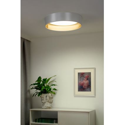Duolla - LED Stropna svetilka ROLLER LED/24W/230V pr. 45 cm srebrna/zlata