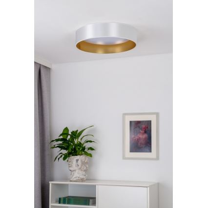 Duolla - LED Stropna svetilka ROLLER LED/24W/230V pr. 45 cm srebrna/zlata