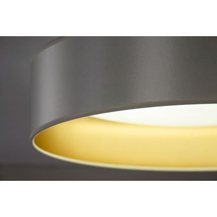 Duolla - LED Stropna svetilka ROLLER LED/24W/230V pr. 45 cm srebrna/zlata