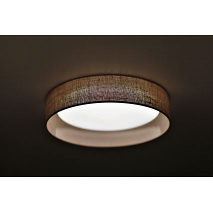 Duolla - LED Stropna svetilka ROLLER LED/24W/230V pr. 45 cm svetla rjava