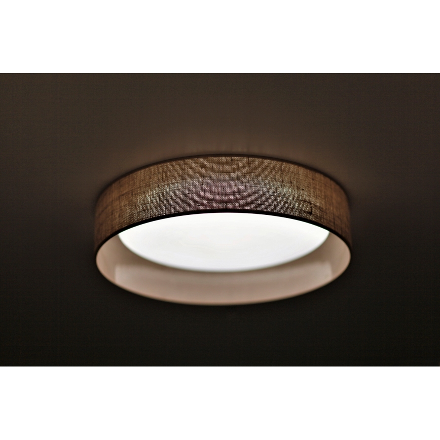 Duolla - LED Stropna svetilka ROLLER LED/24W/230V pr. 45 cm svetla rjava