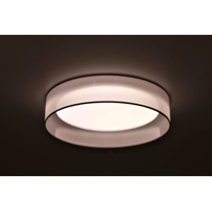Duolla - LED Stropna svetilka ROLLER LED/24W/230V pr. 45 cm svetlo siva