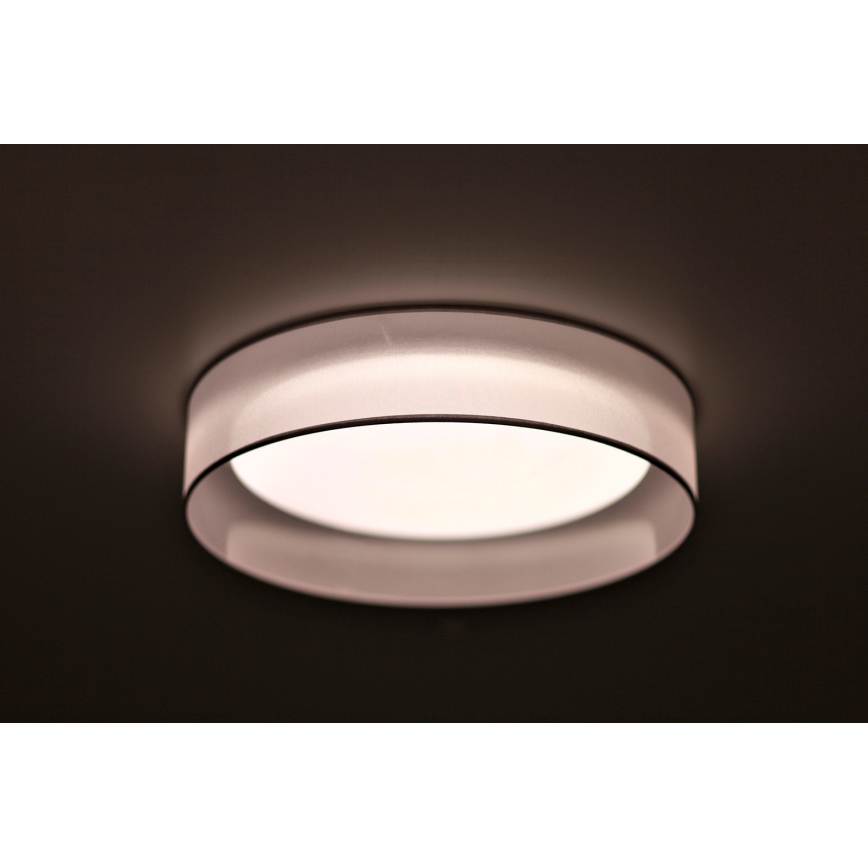 Duolla - LED Stropna svetilka ROLLER LED/24W/230V pr. 45 cm svetlo siva