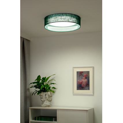 Duolla - LED Stropna svetilka ROLLER LED/24W/230V pr. 45 cm zelena