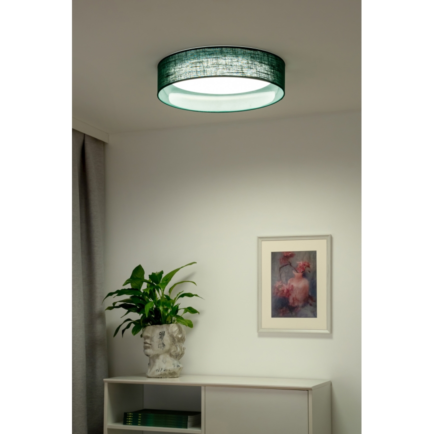 Duolla - LED Stropna svetilka ROLLER LED/24W/230V pr. 45 cm zelena