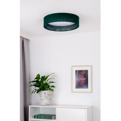 Duolla - LED Stropna svetilka ROLLER LED/24W/230V pr. 45 cm zelena