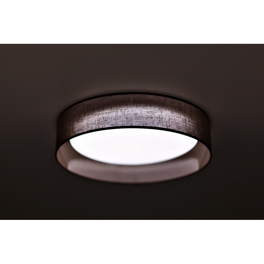 Duolla - LED Stropna svetilka ROLLER LED/24W/230V temen pr. 45 cm rjava