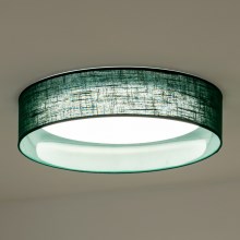 Duolla - LED Stropna svetilka ROLLER LED/24W/230V zelena